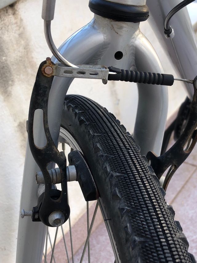 Bicicleta riverside 120