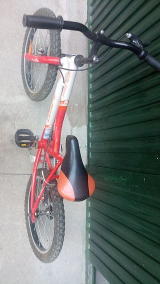 Bicicleta 18 pulgadas,bici infantil J.L Wenti