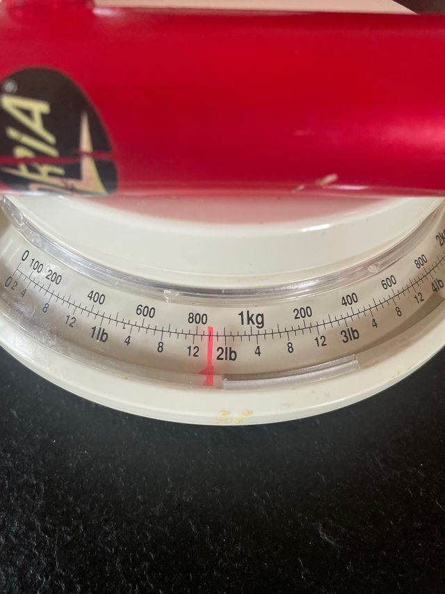 Horquilla rígida de bicicleta (rueda 26")