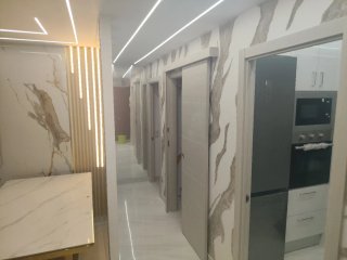 PINTOR PALETA ECONOMICO