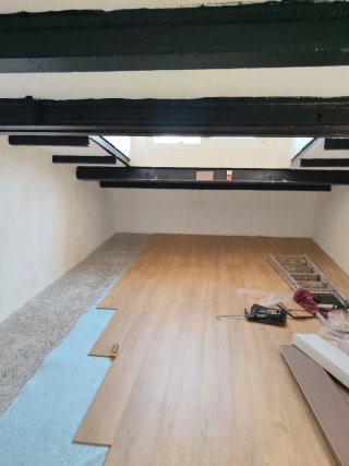 PINTOR PALETA ECONOMICO