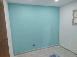 PINTOR PALETA ECONOMICO