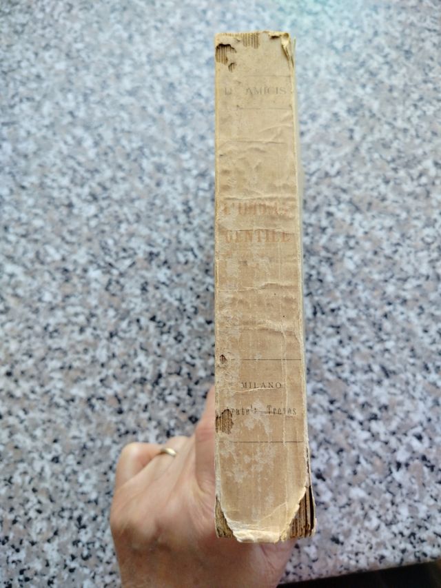 "L'IDIOMA GENTILE" Edmondo De Amicis edizione1921