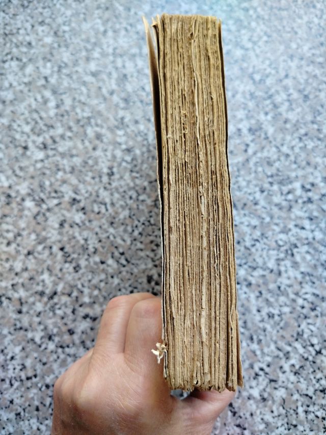 "L'IDIOMA GENTILE" Edmondo De Amicis edizione1921