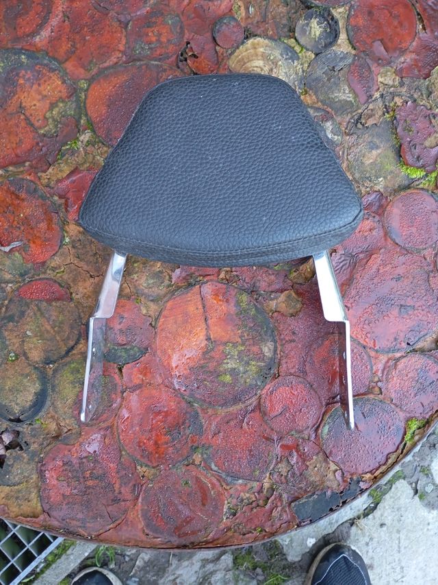 Kawasaki vn 900 schienale