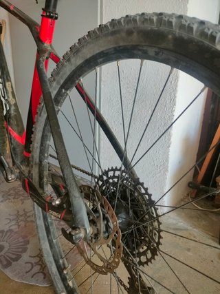Orbea Alma 2015
