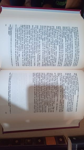 Don Quijote de la Mancha II.