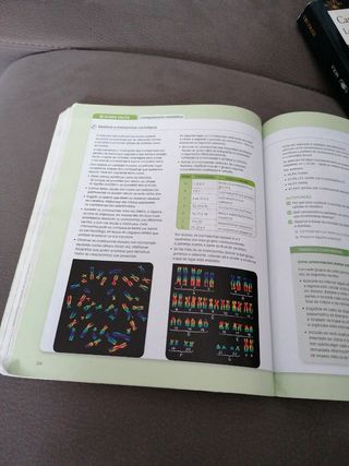 Bioloxia e xeoloxia 4 eso