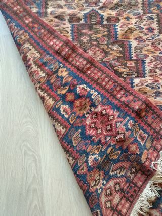 Kilim kurdo