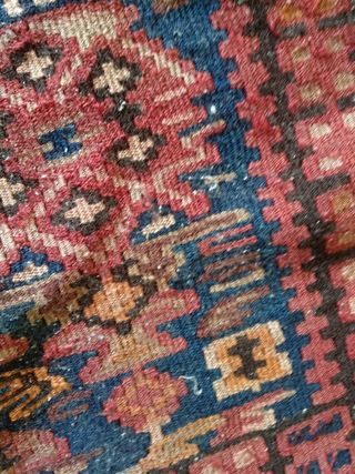 Kilim kurdo