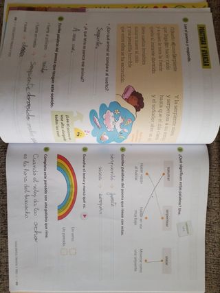 Proyecto: FanFest. Lengua castellana y Literatura 1 - Opción B: ¡A volar!. Pauta. Trimestres