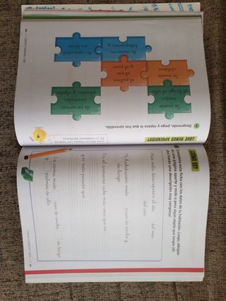 Proyecto: FanFest - Matemáticas 1 - Pauta. Trimestres [Castilla y León - Galicia]