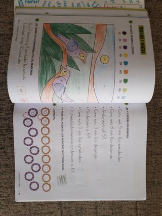 Proyecto: FanFest - Matemáticas 1 - Pauta. Trimestres [Castilla y León - Galicia]