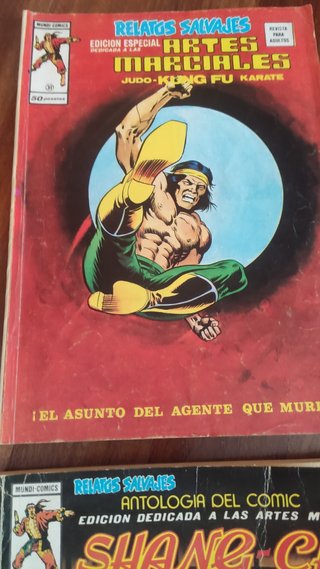 REVISTA DE ARTES MARCIALES
