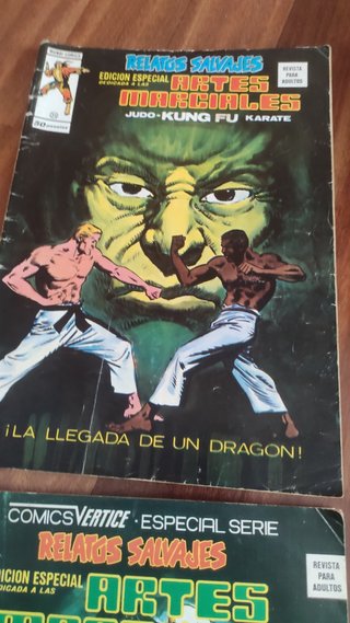 REVISTA DE ARTES MARCIALES