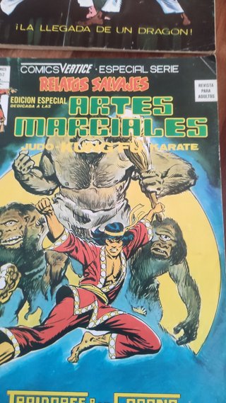 REVISTA DE ARTES MARCIALES