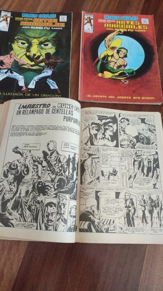REVISTA DE ARTES MARCIALES