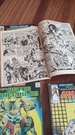 REVISTA DE ARTES MARCIALES
