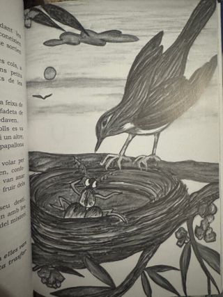 Libro en català les ales del vent