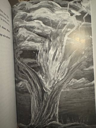 Libro en català les ales del vent