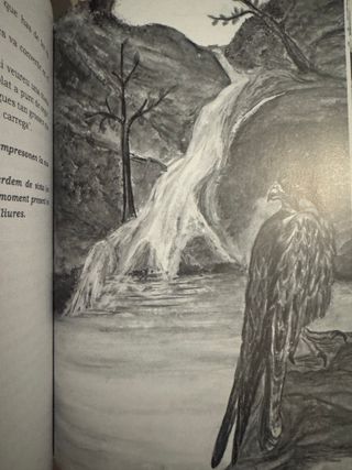 Libro en català les ales del vent