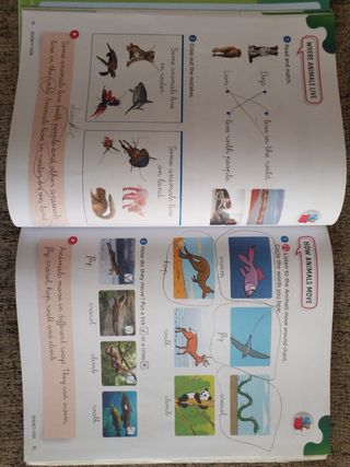 Natural Science 1 Outside the Box Sb