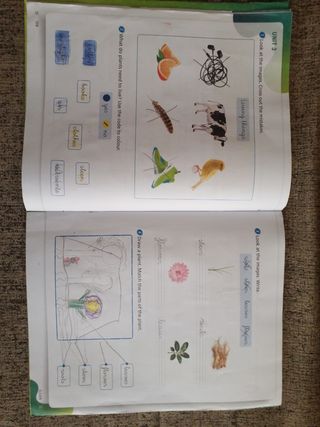 Natural Science 1 Outside the Box Sb