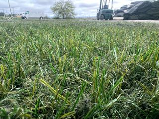 Césped artificial monofilamento