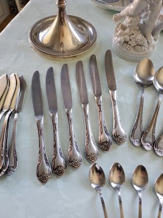 6PAX CUBERTERÍA DALIA INOX