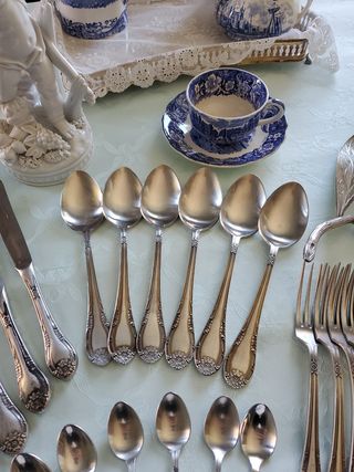 6PAX CUBERTERÍA DALIA INOX