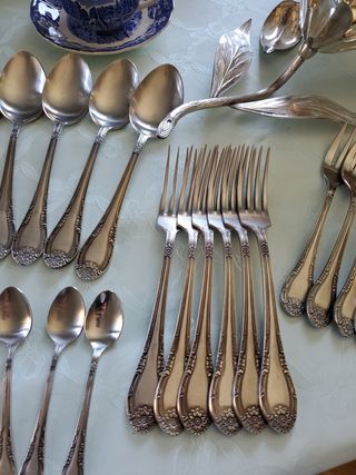 6PAX CUBERTERÍA DALIA INOX