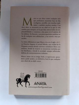 Libro El chico de la flecha