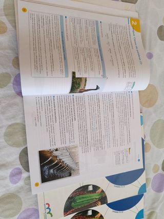 Lengua y literatura Anaya 4 eso