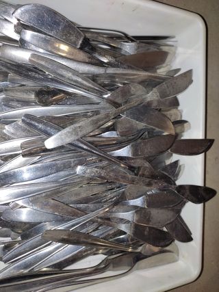 Cubiertos de pescado