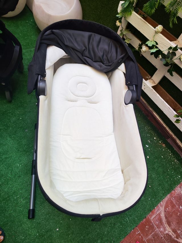 Carro inglesina aptica