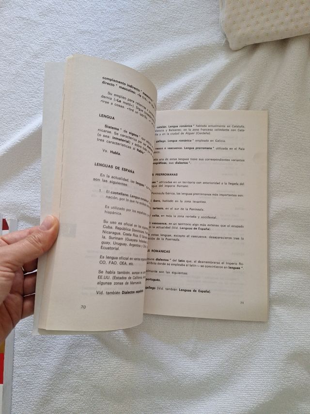 Glosario Inbad términos lingüísticos