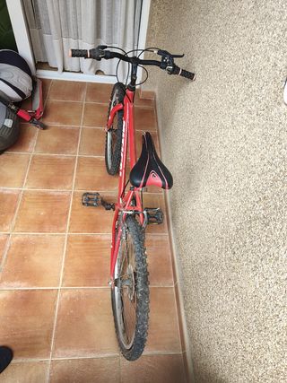 Bicicleta