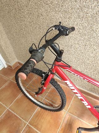 Bicicleta