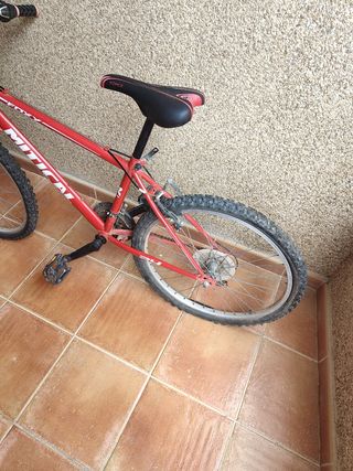 Bicicleta