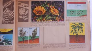 Album Ciencias Maga 1971