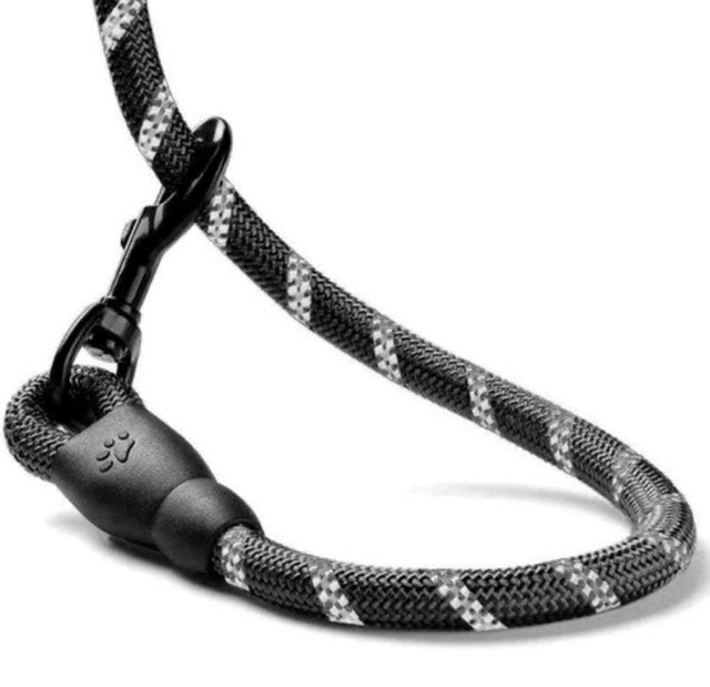 Correa reflectante de 5 metros para perros, regalo