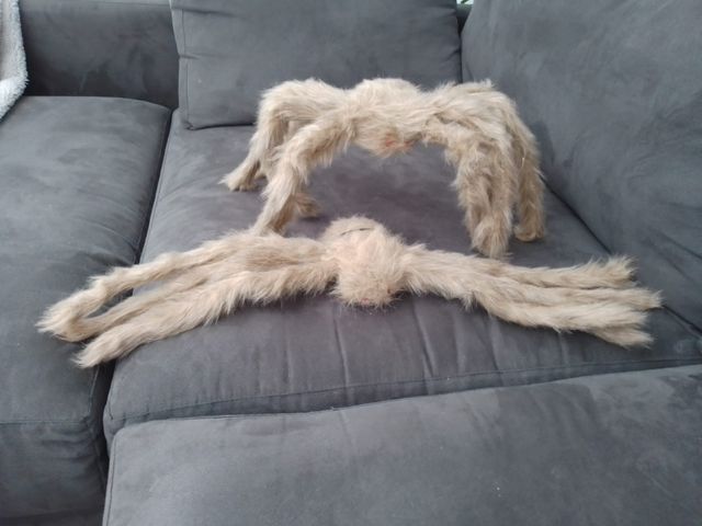 Decoración Halloween