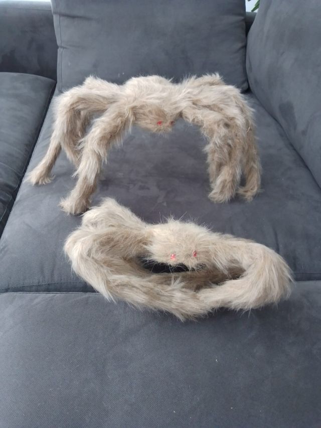 Decoración Halloween