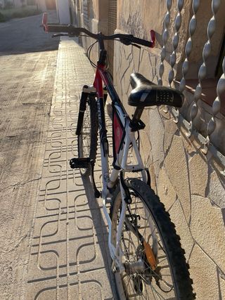 Bicicleta de 26 pulgada Orbea