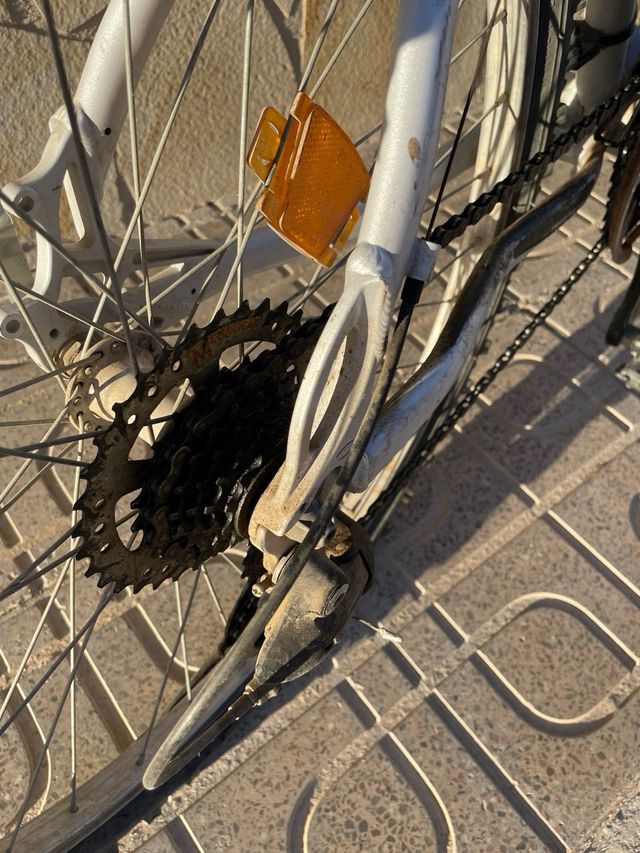 Bicicleta de 26 pulgada Orbea