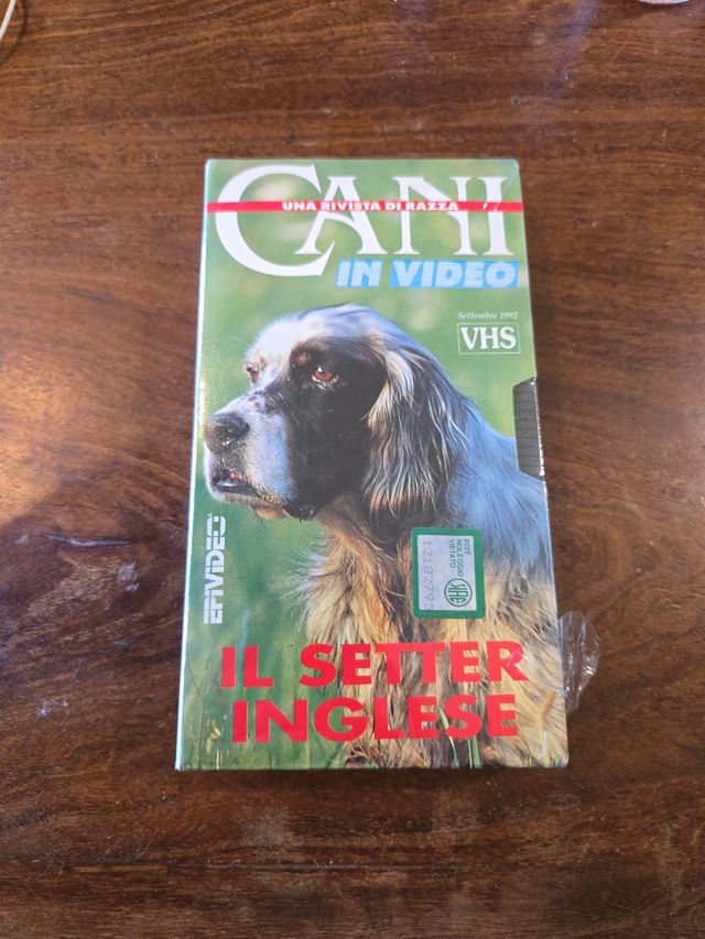 Una rivista di razza Cani Il Setter