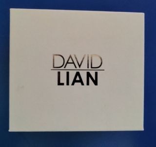 David Lian Rome Steel Strap