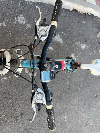 Bicicleta Orbea Paradise.