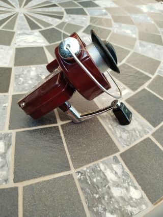 Mulinello Shakespeare