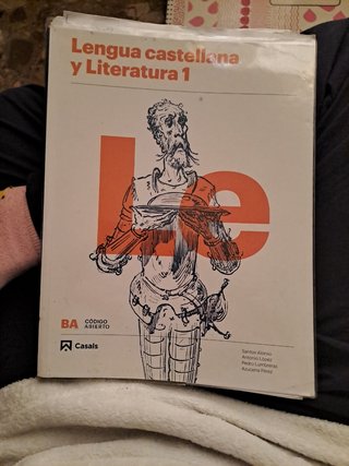 Lengua castellana y Literatura 1BA 2019